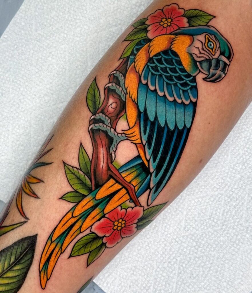 American Traditional Macaw Tattoo