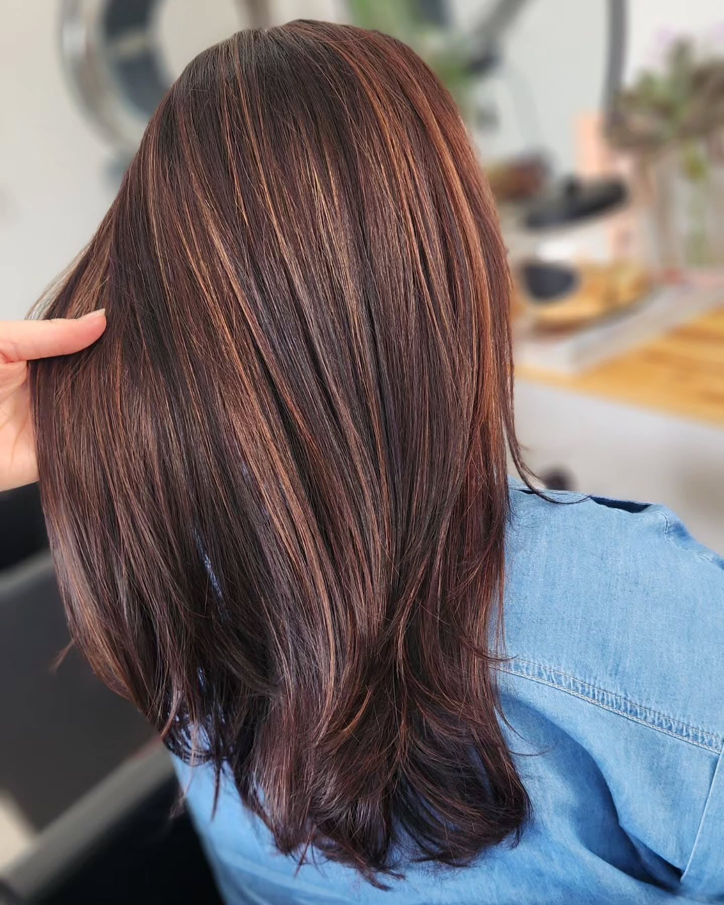 6. Sleek Chocolate Layers with Caramel and Bronze Threads (Red Brown Hair with Highlights)