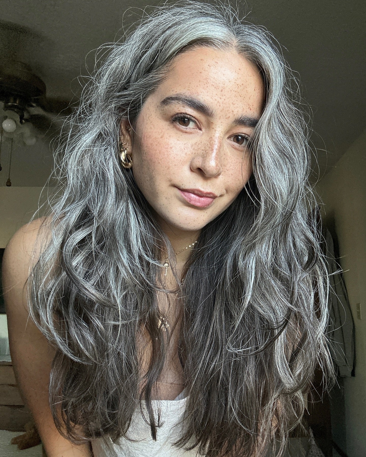 6. Voluminous Gray Curls with Middle Part (Gray Hairstyles for Women)