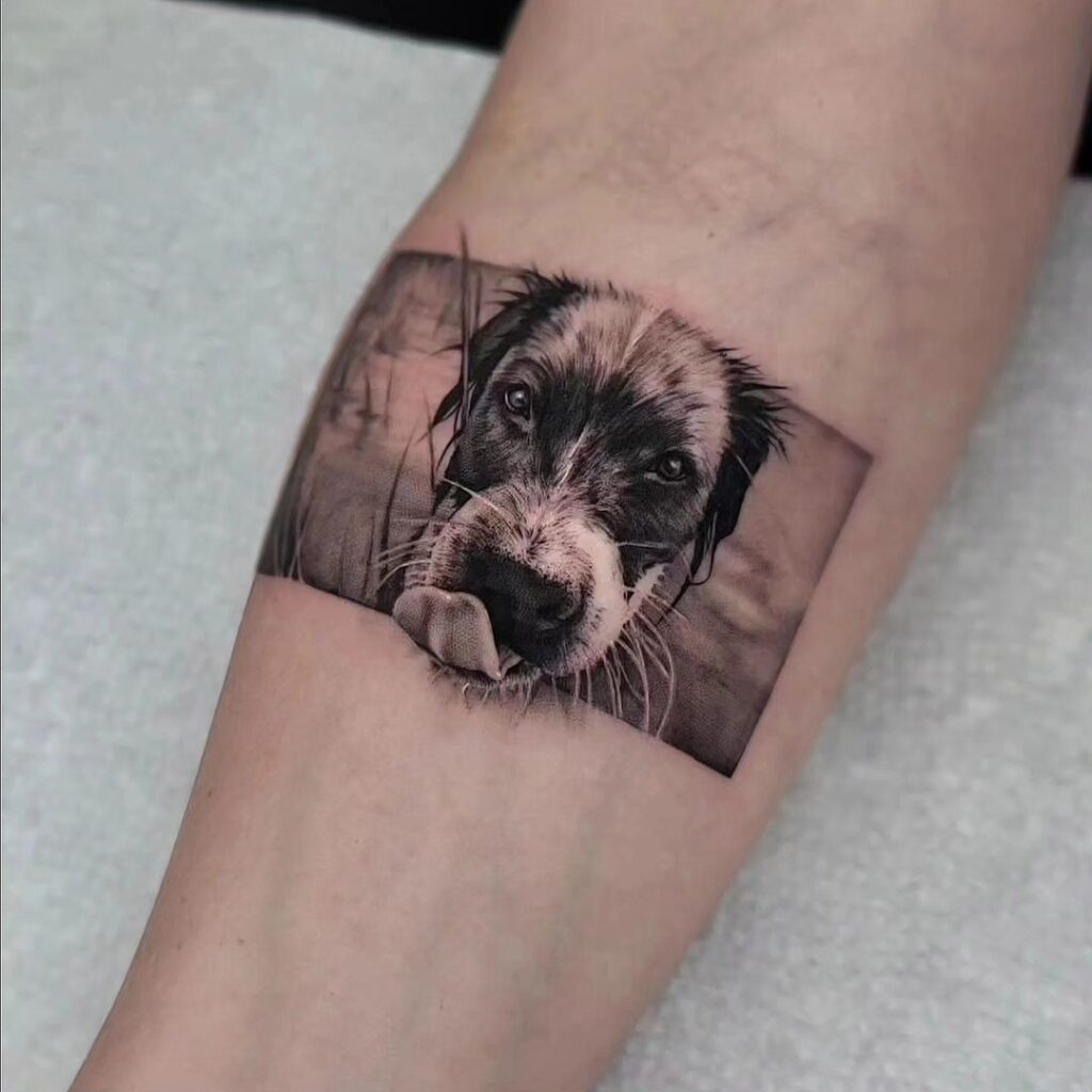 Dog Portrait Tattoo