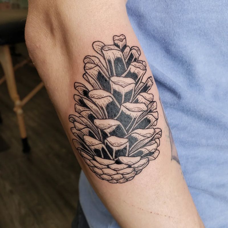 Pine Cone