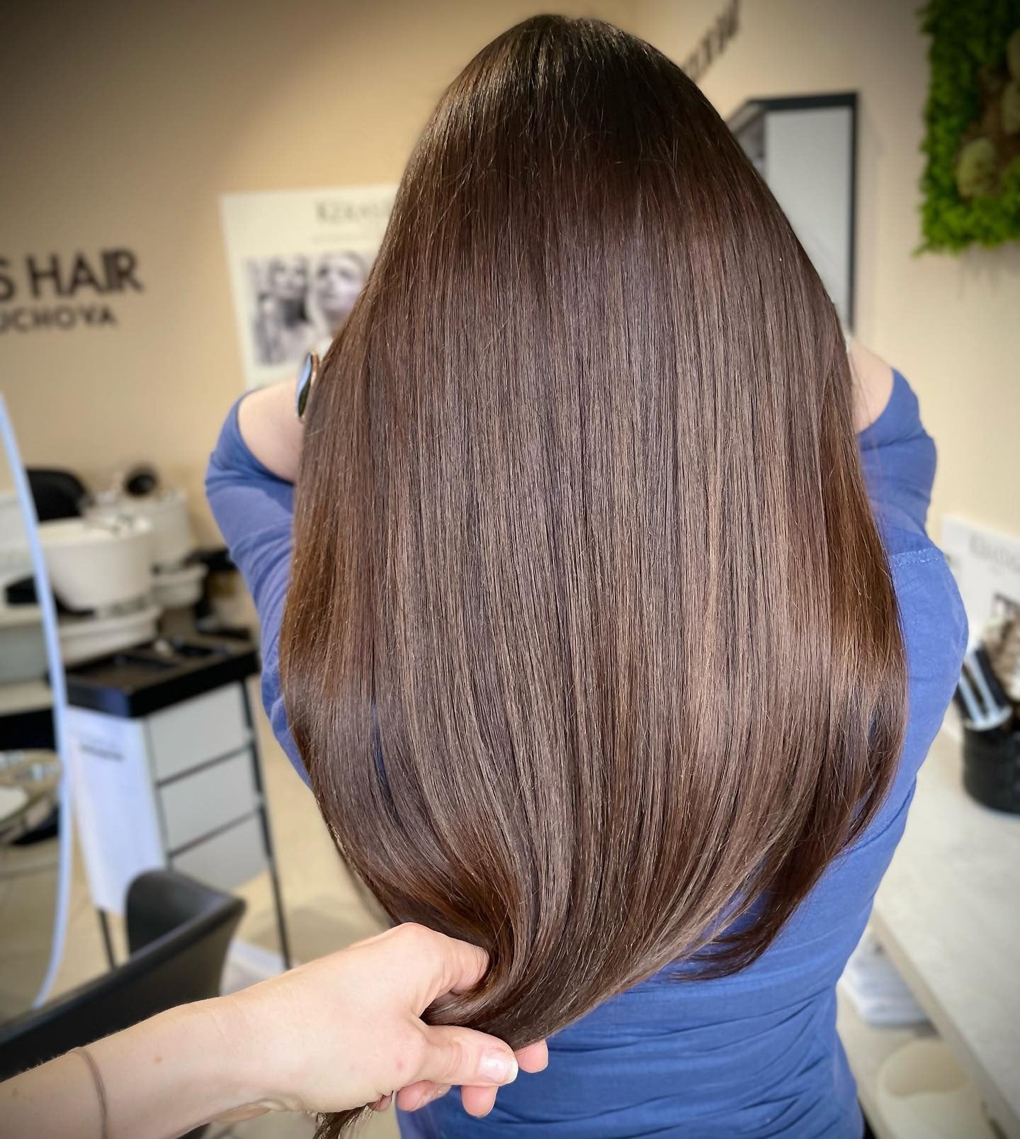 1. Sleek Chestnut Layers (Cool Brown Hair Color)