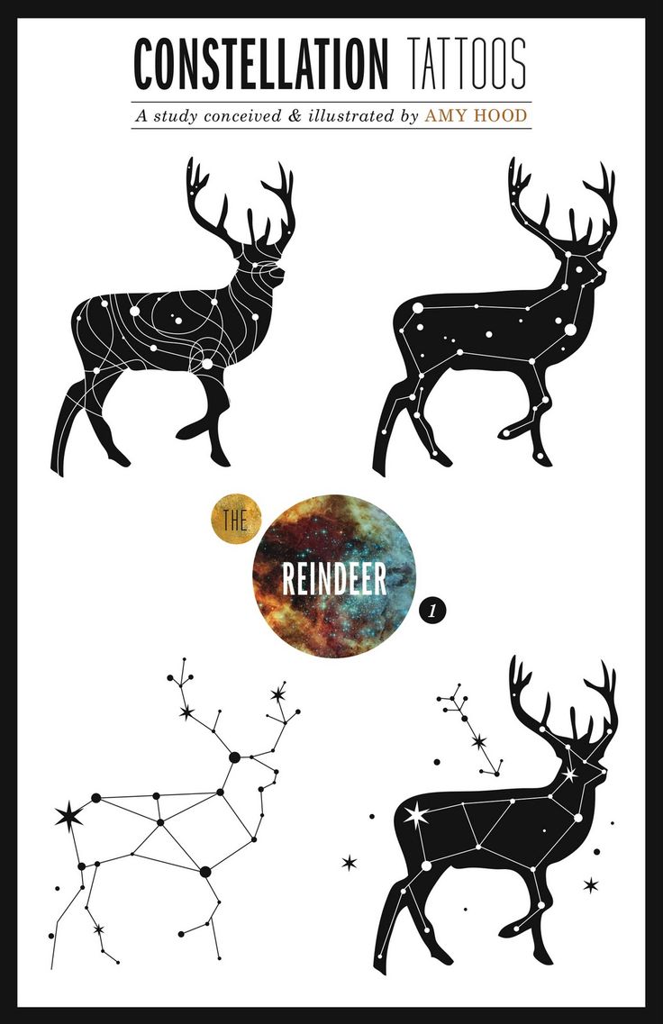 Constellation Tattoos, My Love Affair With Stars, & More Shameless ...