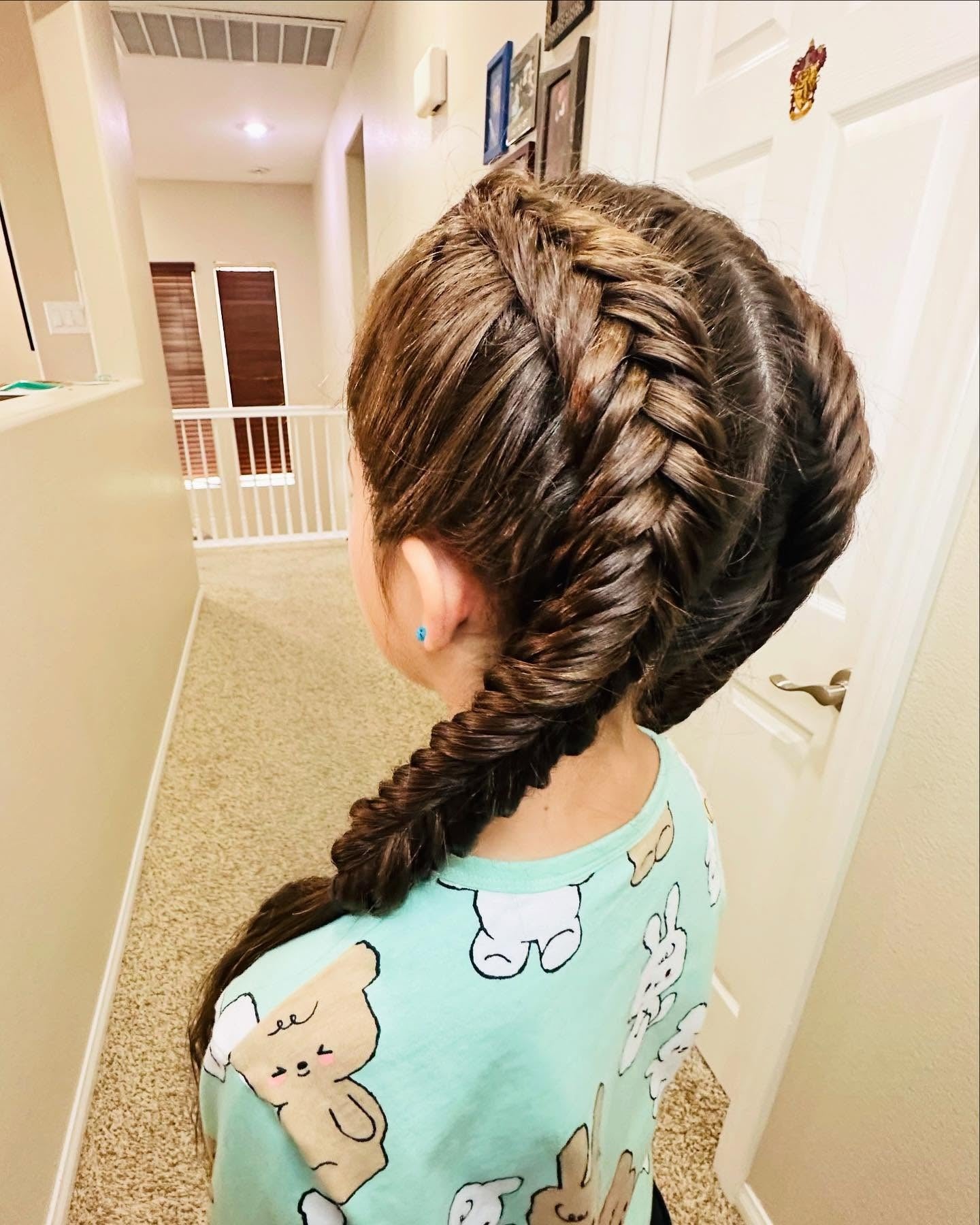 14. Twin Fishtail Braids on Deep Brown Hair (Hairstyles For School)