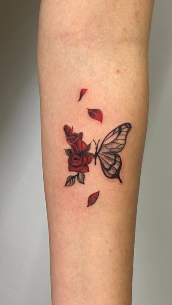 Butterfly Transformation