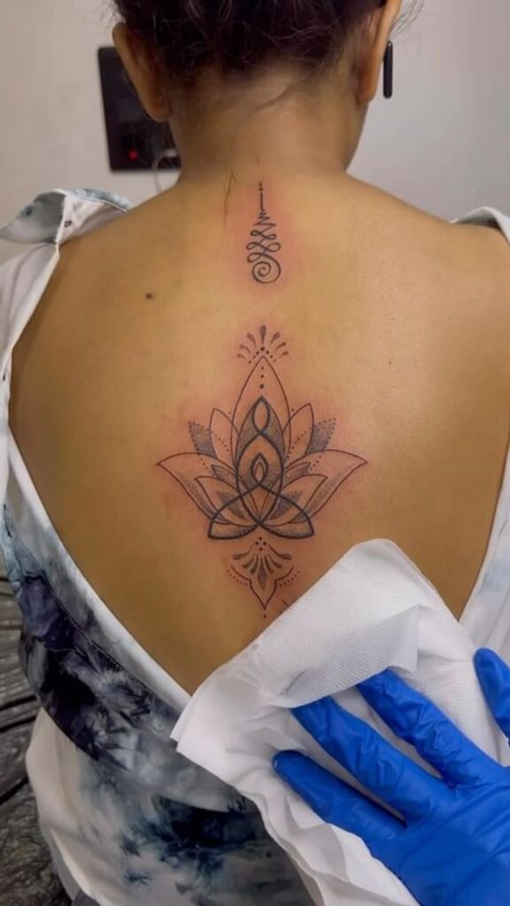 Lotus Bloom