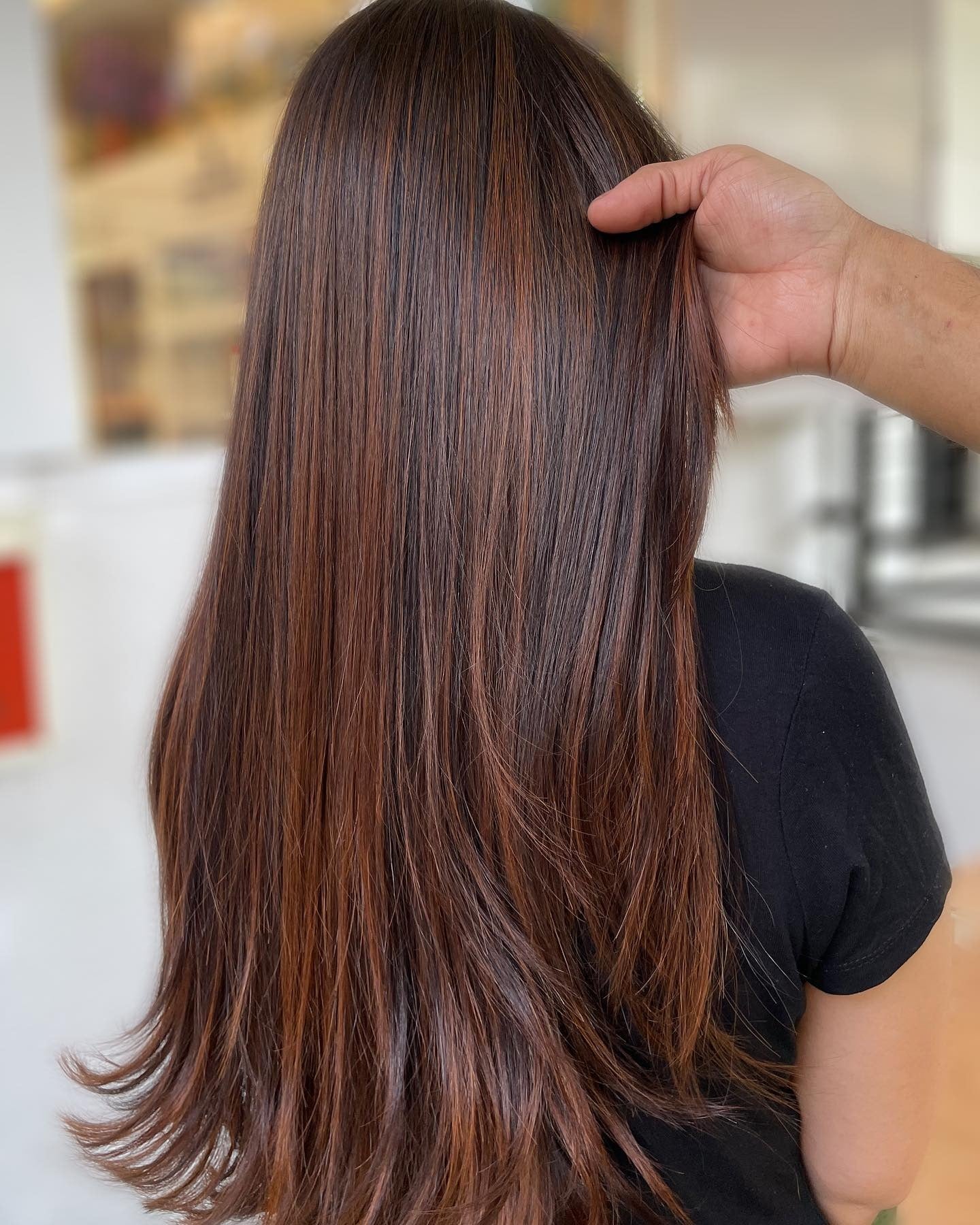 6. Glossy Straight Layers in Deep Chestnut (Chestnut Hair Color)
