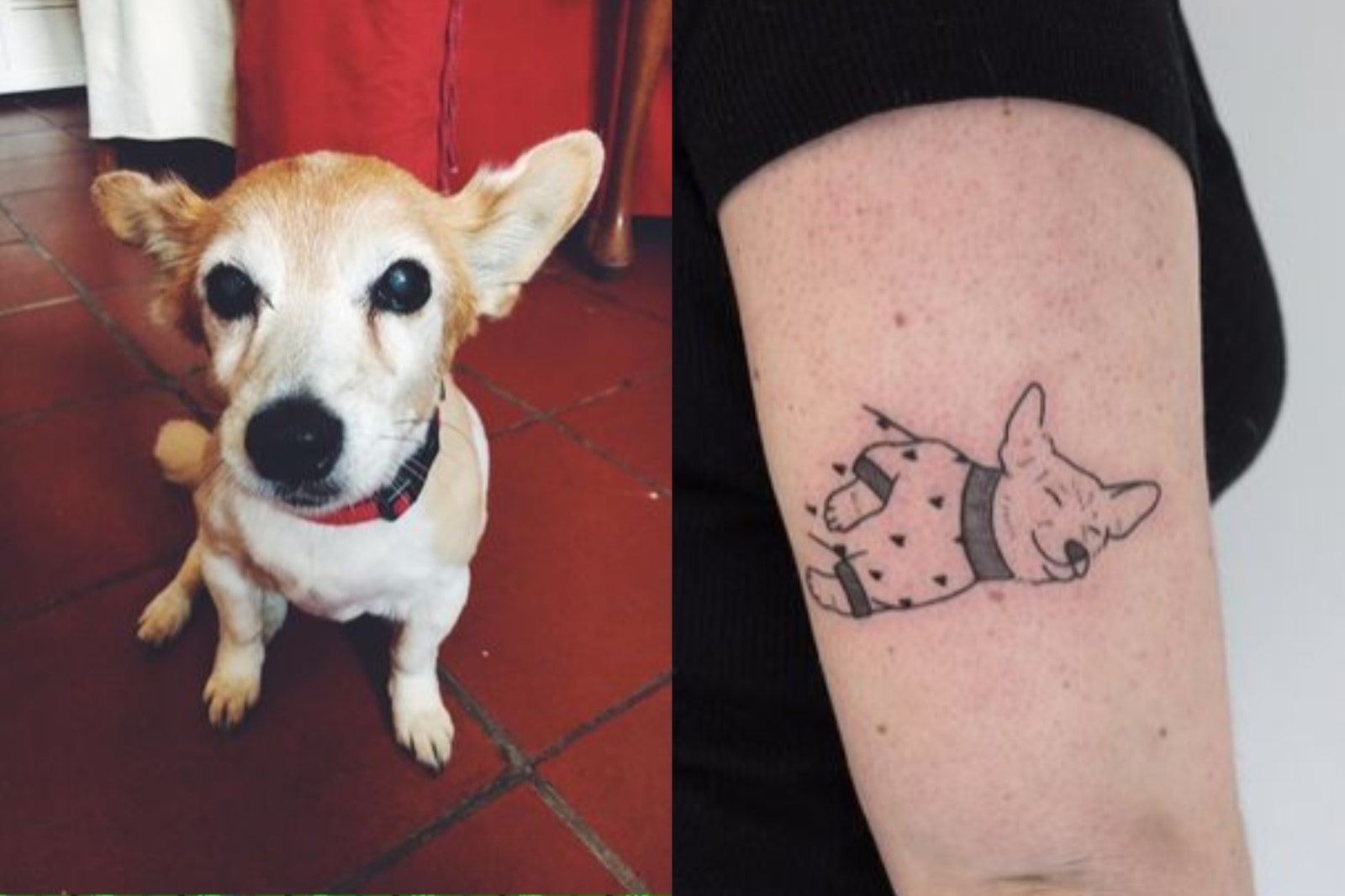 30 Best Dog Tattoo Ideas You Should Check