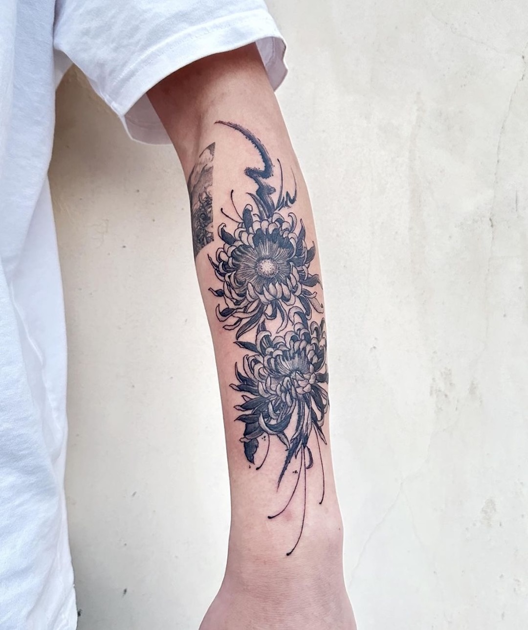 Chrysanthemum Tattoo