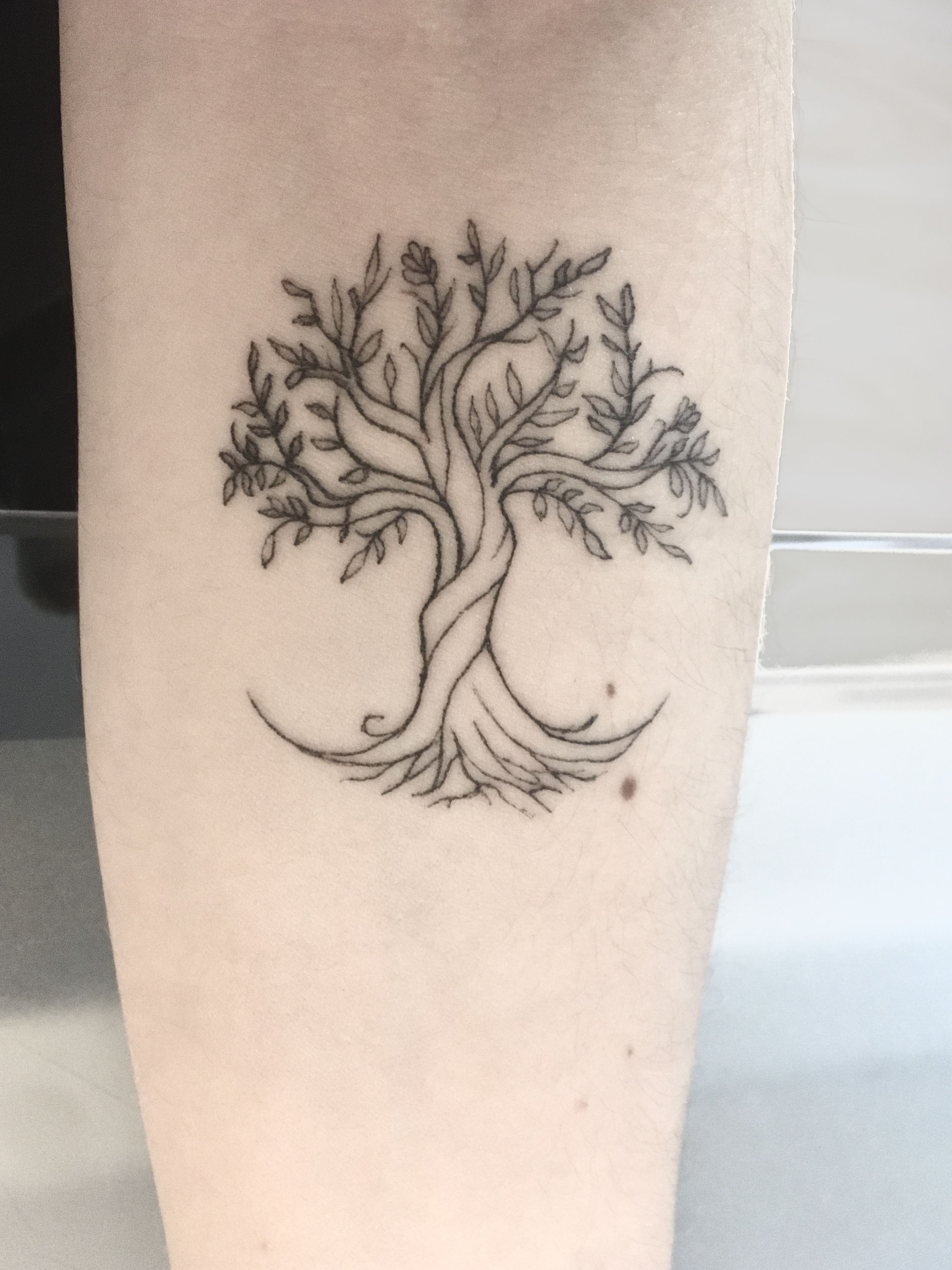 Fineline Tree Tattoo