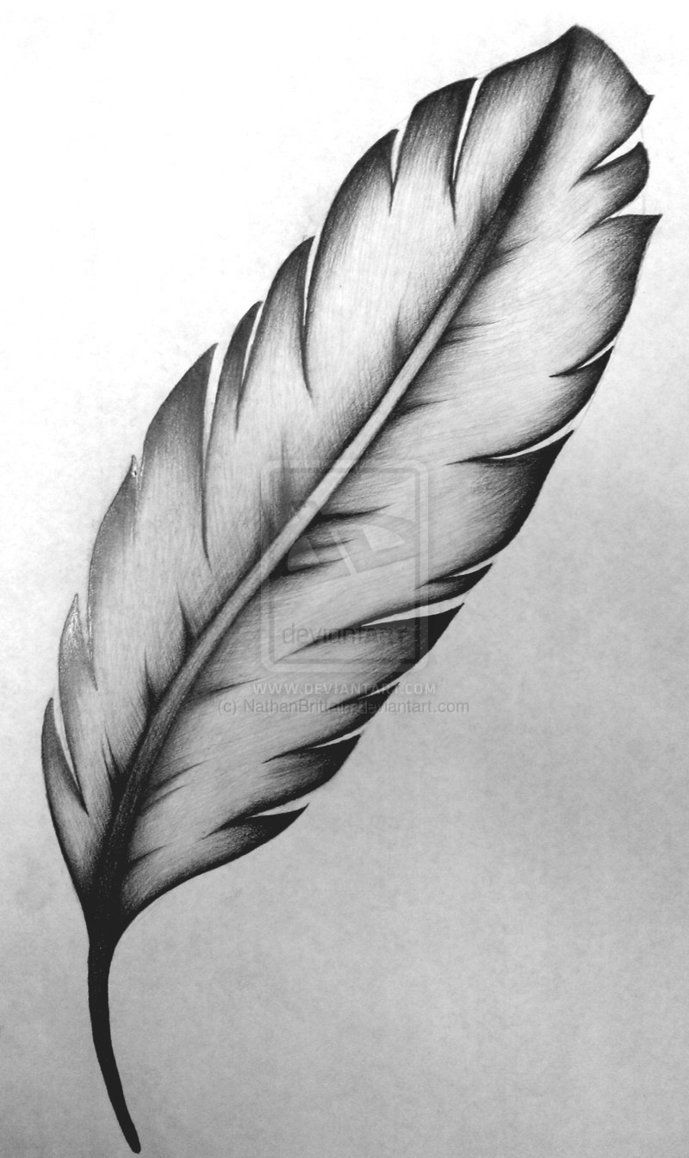 Feather tattoo design. by NathanBrittain on DeviantArt