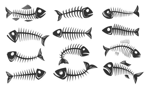 290+ Skeleton Fish Tattoos Stock Illustrations, Royalty-Free ...