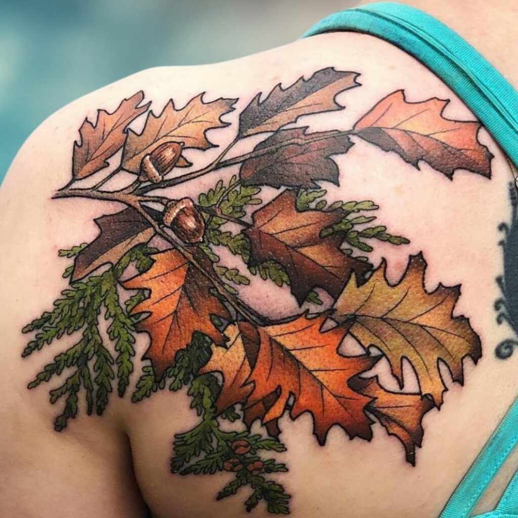 Fall Leaves And Acorns