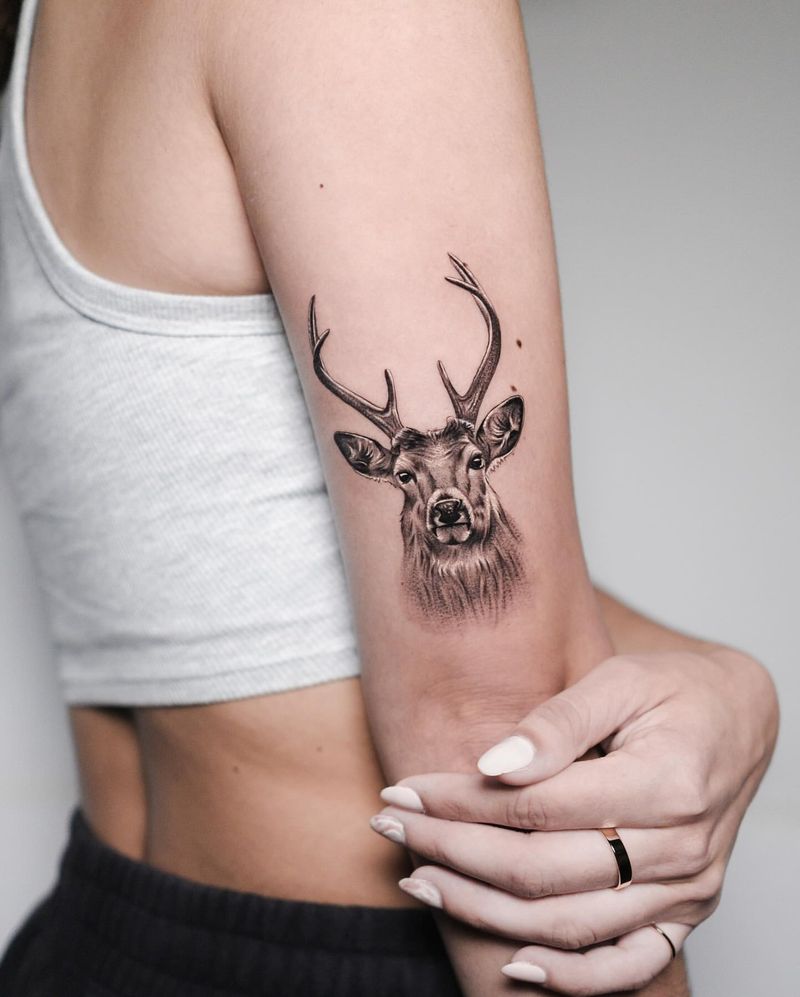 Deer Tattoo
