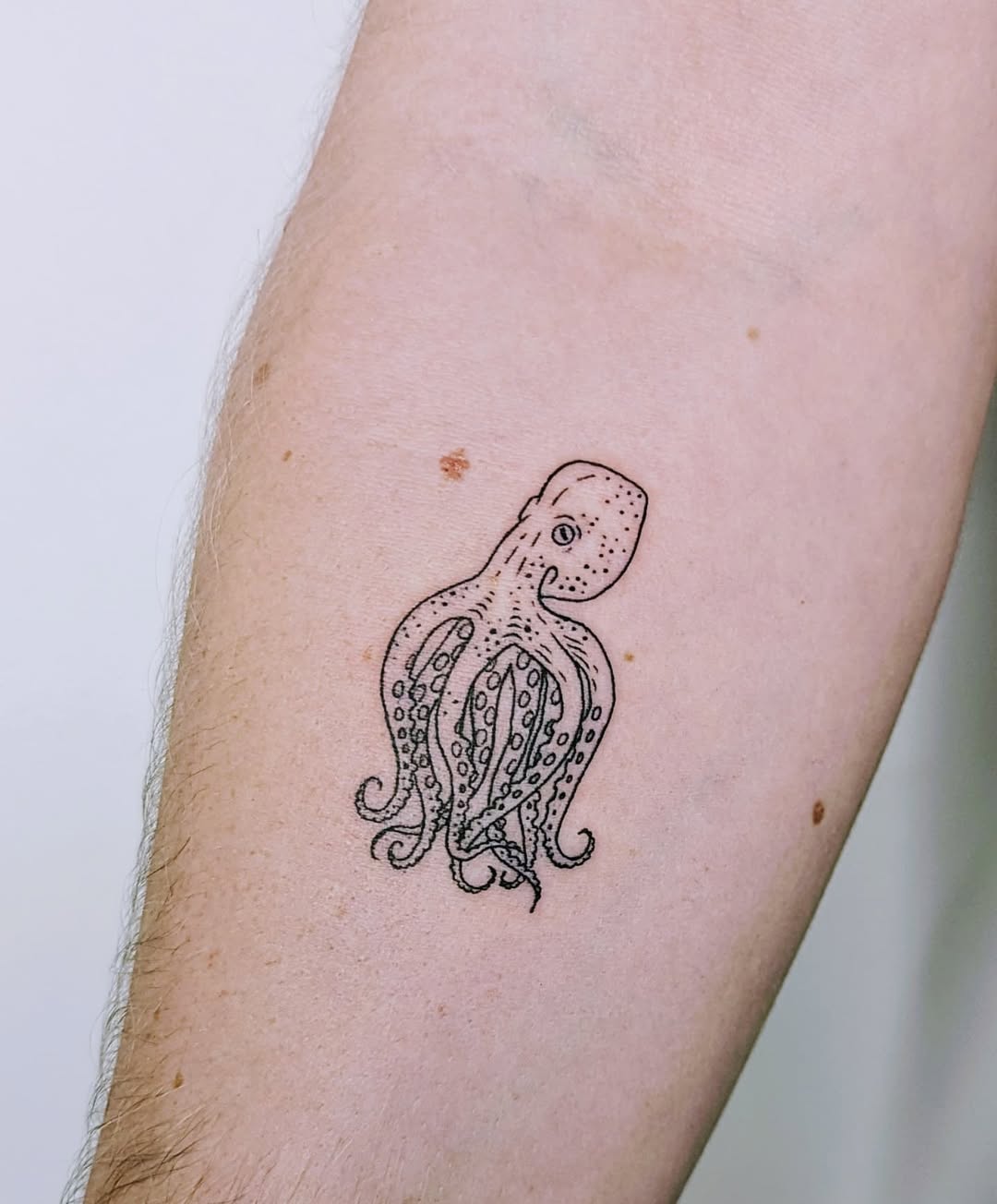 Elegant Octopus Tattoo with Intricate Details
