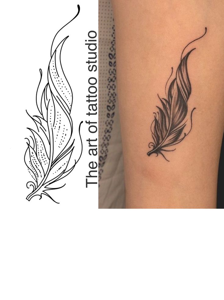 Delicate feather tattoo design as feminine cover up