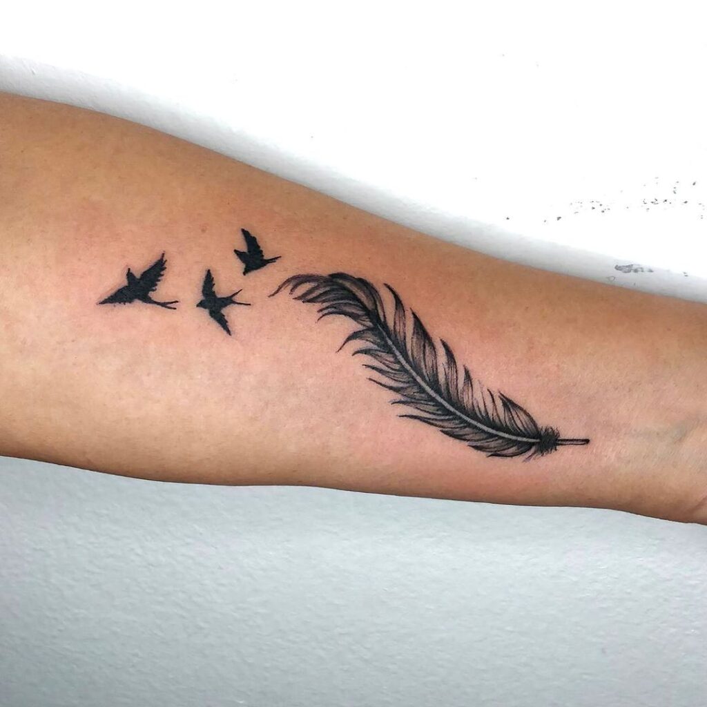Feather And Swallows Forearm Tat
