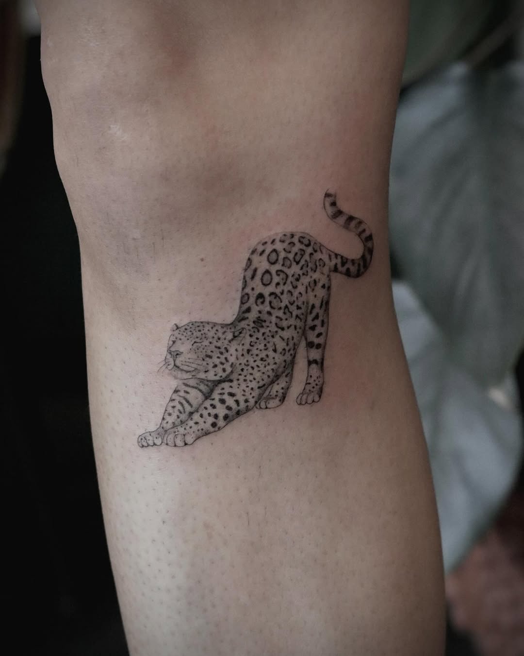 Intricate leopard tattoo in a stretching pose