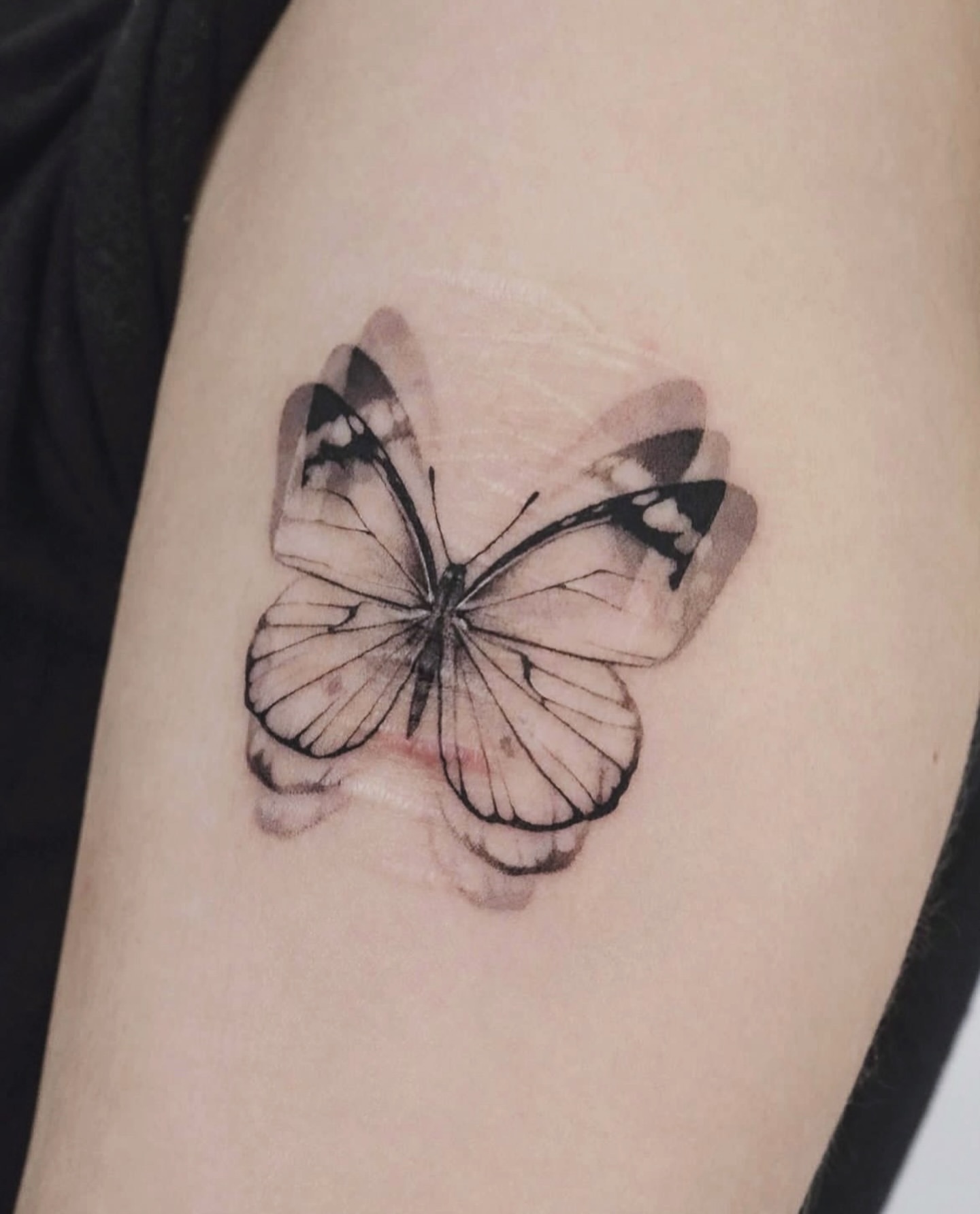 butterfly tattoo