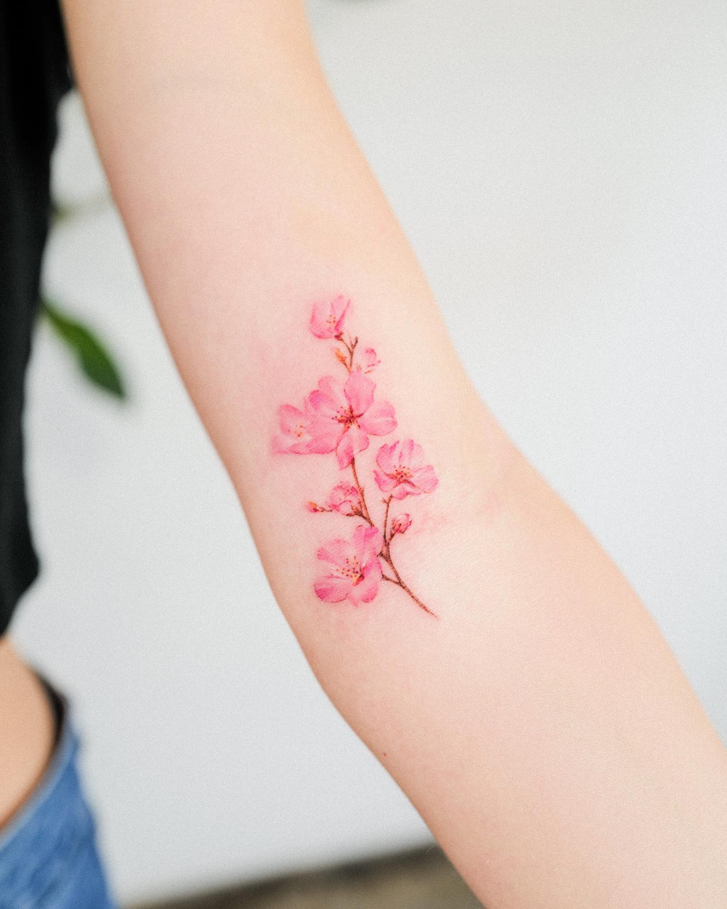 cherry blossom tattoo