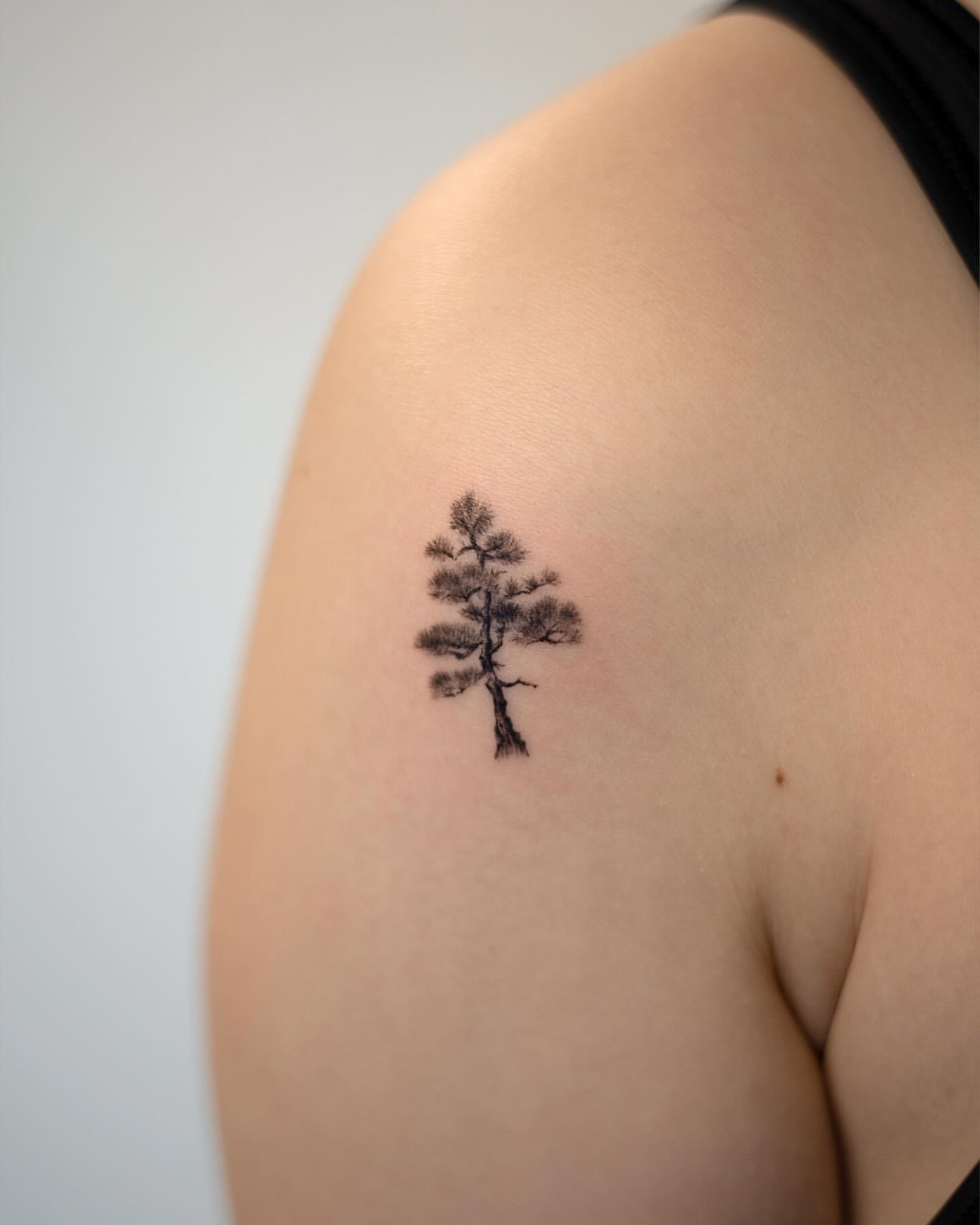 tree tattoo