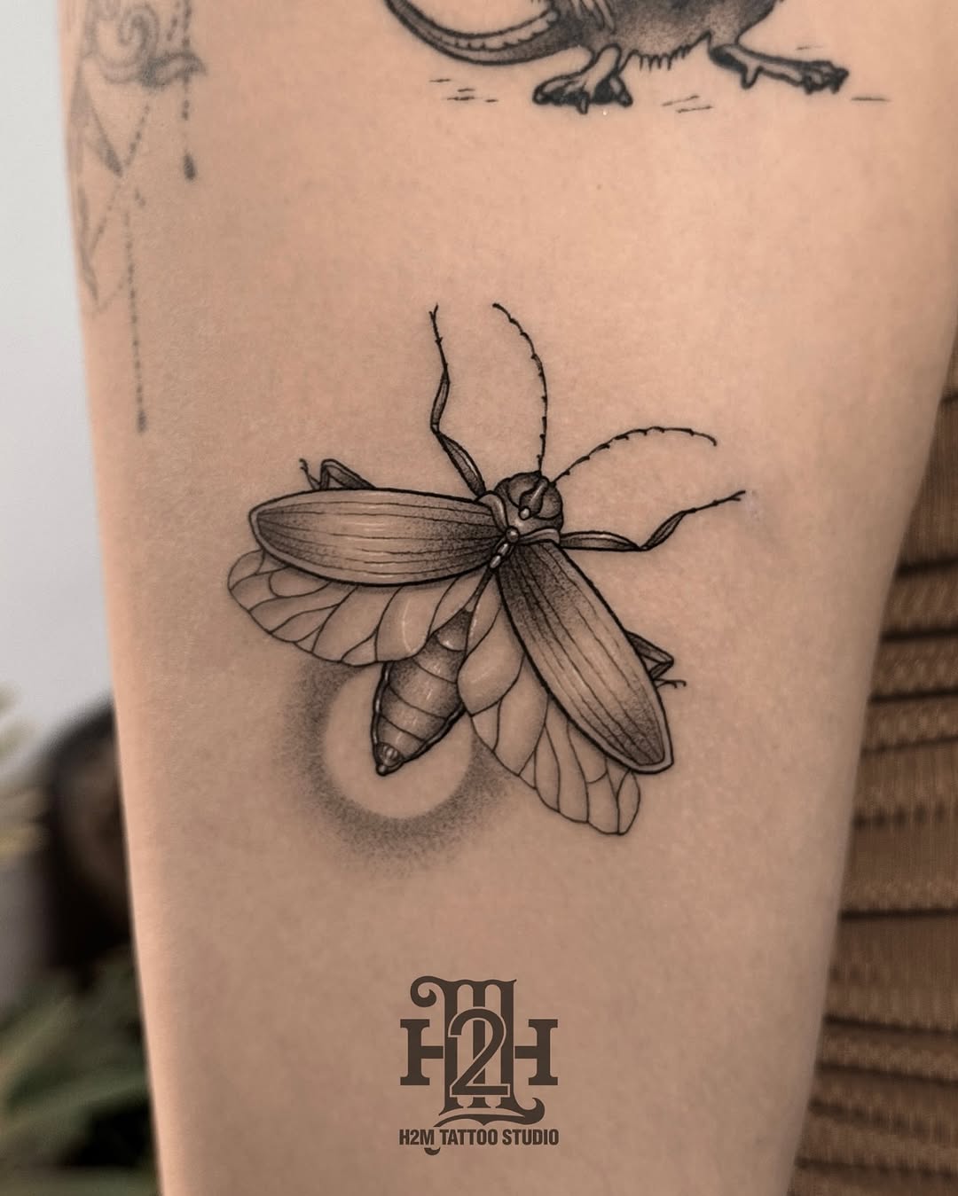 Intricate black and white firefly tattoo design