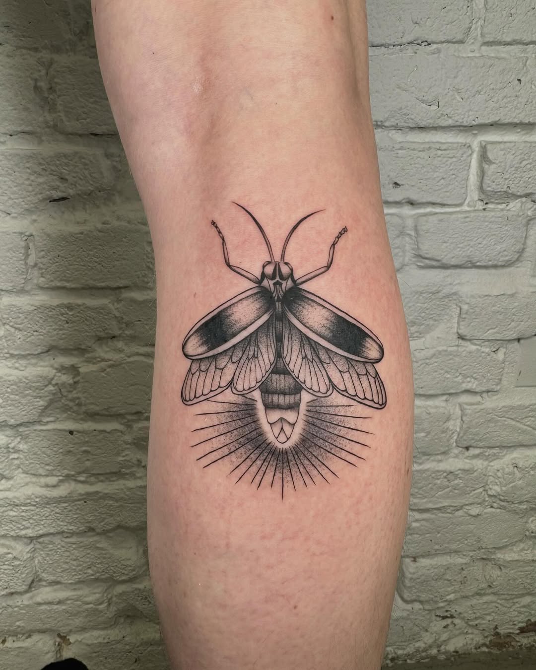 Stunning blackwork firefly tattoo on calf