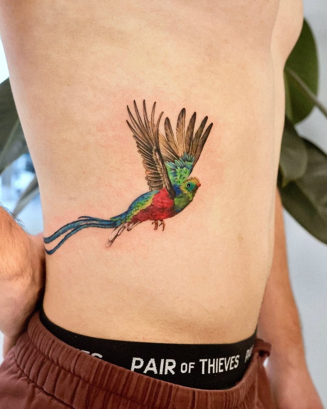 Vibrant parrot tattoo on rib cage area