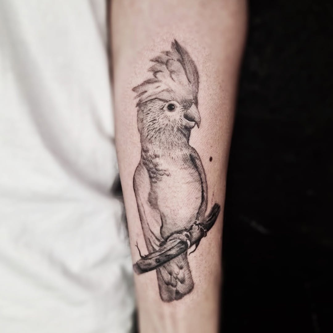 Elegant black and white parrot tattoo design