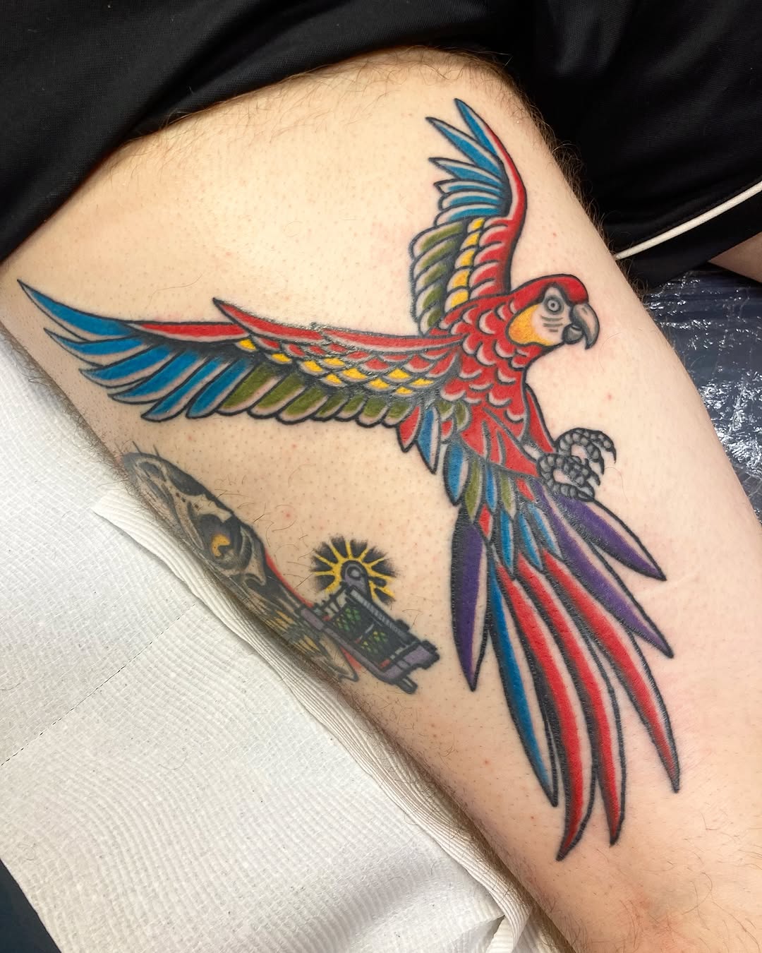 Vibrant parrot tattoo with stunning color contrasts