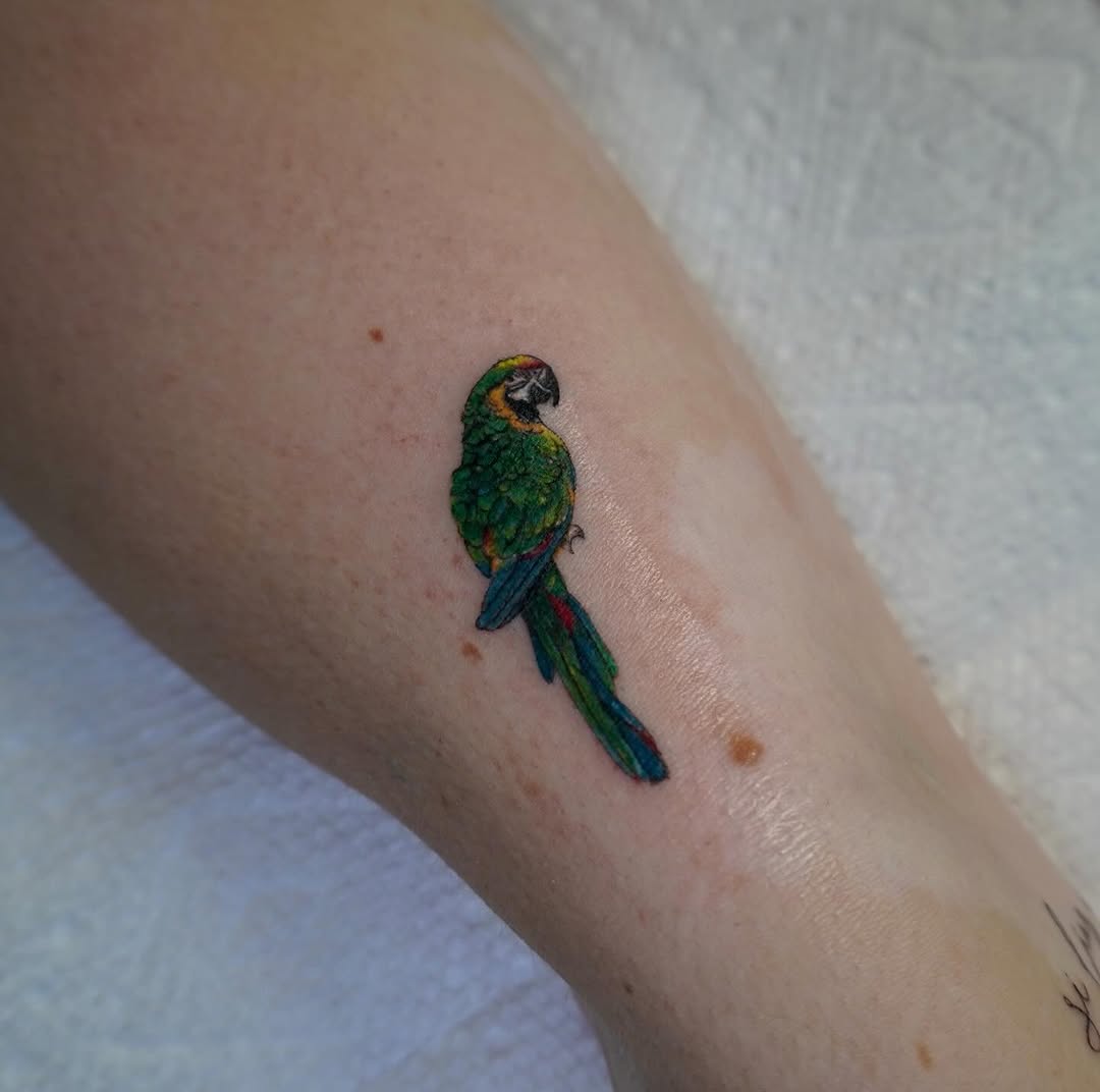 Brightly colored parrot tattoo on leg