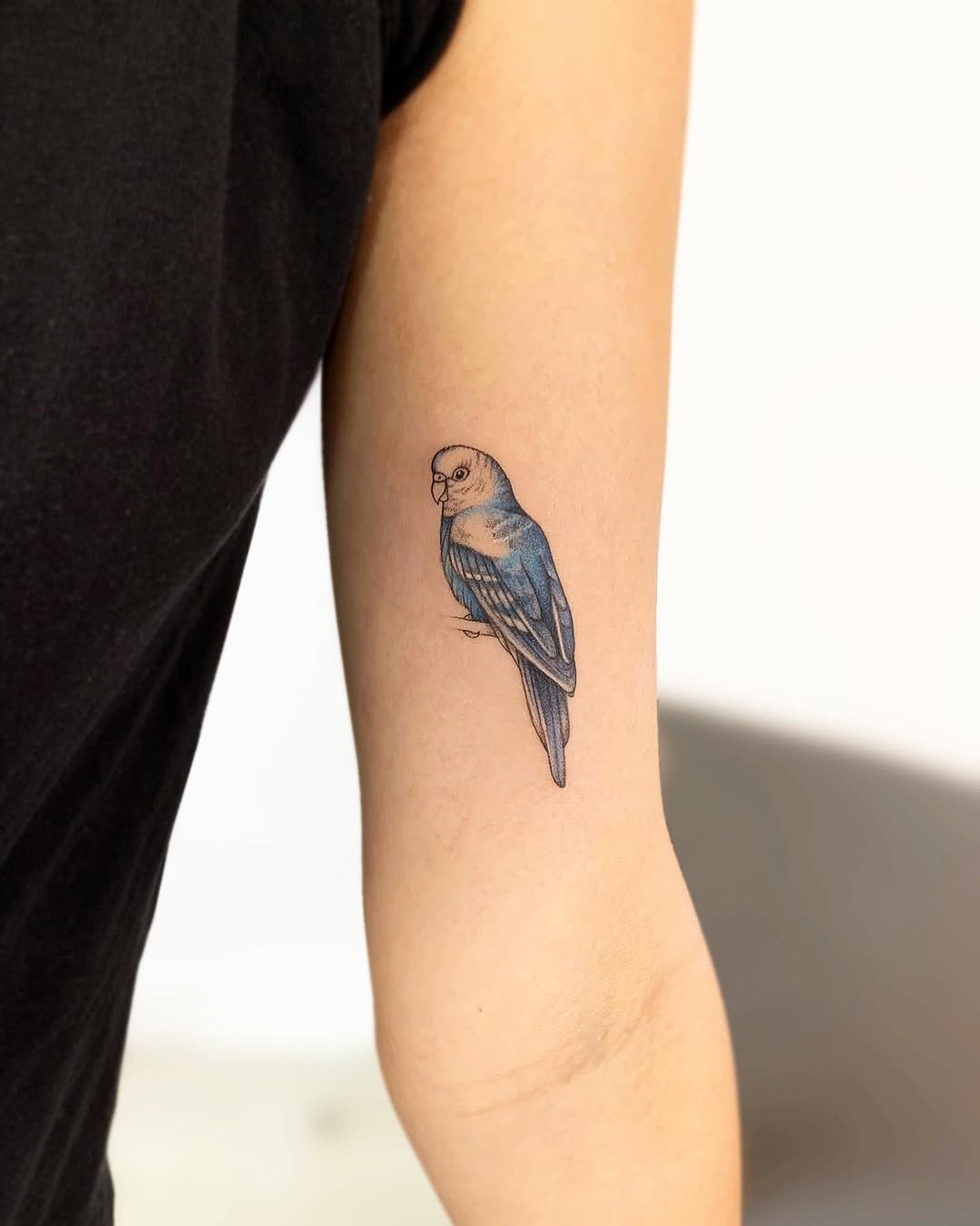 Charming parrot tattoo on inner elbow