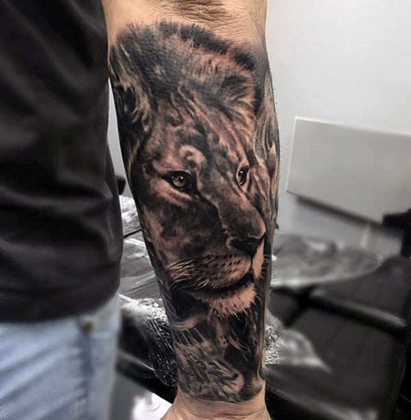 40 Lion Forearm Tattoos for Men