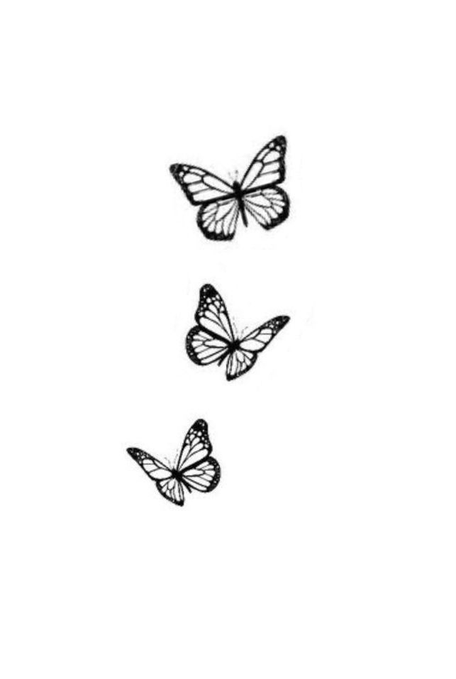 black and white butterfly