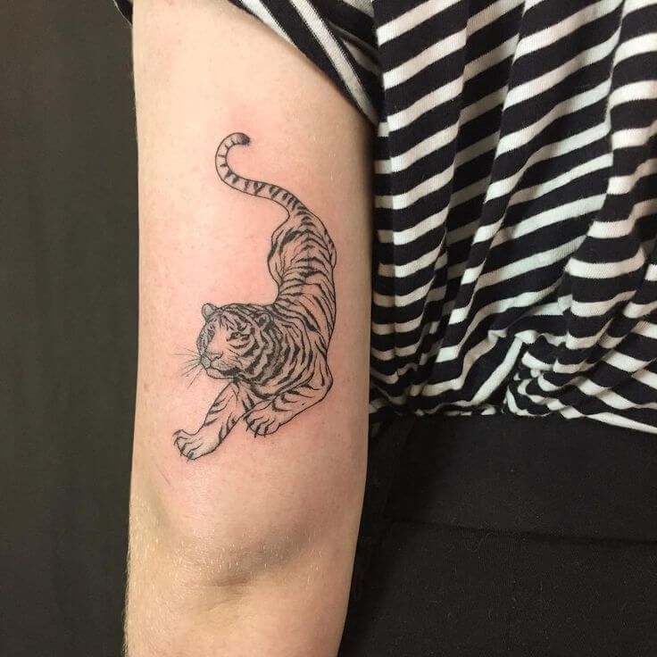 15+ Small Tiger Tattoo Design & Ideas