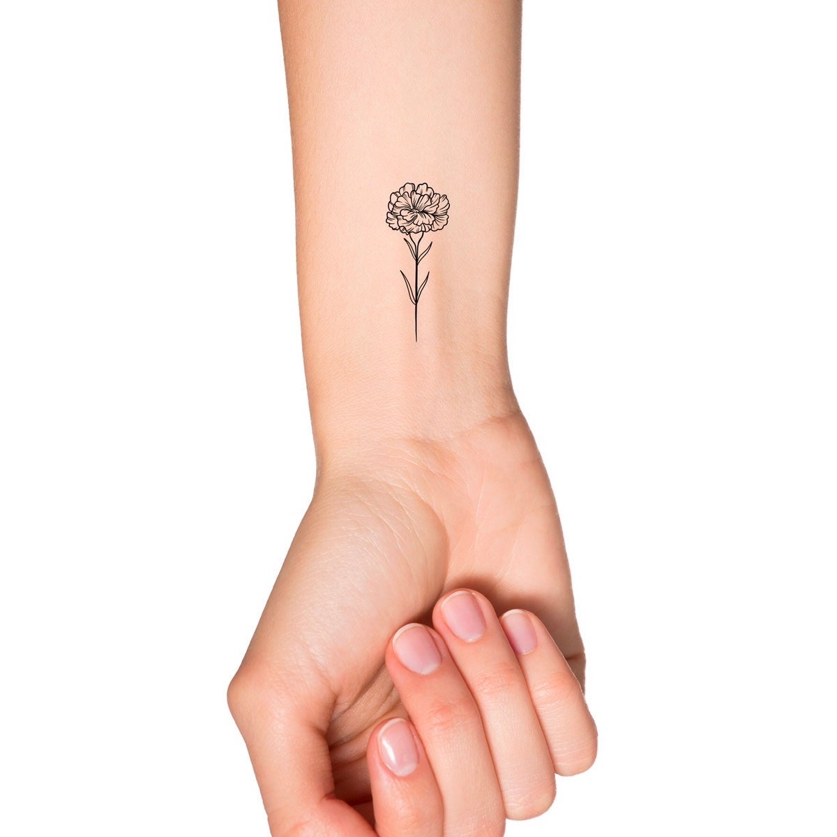 January Birth Month Flower: Carnation Temporary Tattoo Birth ...