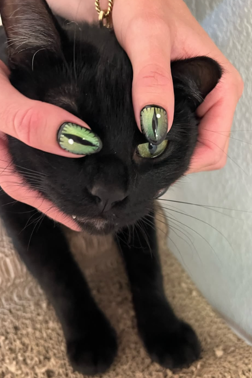 30 Shiny & Stunning Cat Eye Nails That Are Basically a Mani Mic Drop!