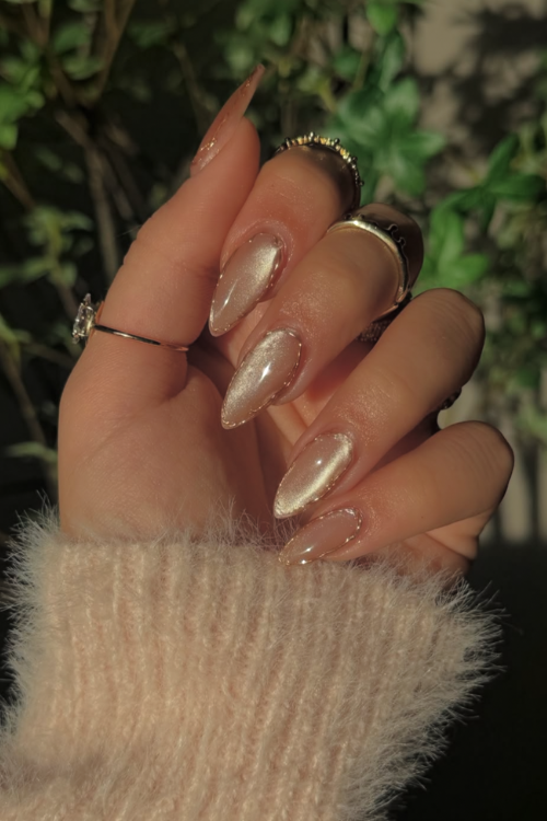 30 Shiny & Stunning Cat Eye Nails That Are Basically a Mani Mic Drop!