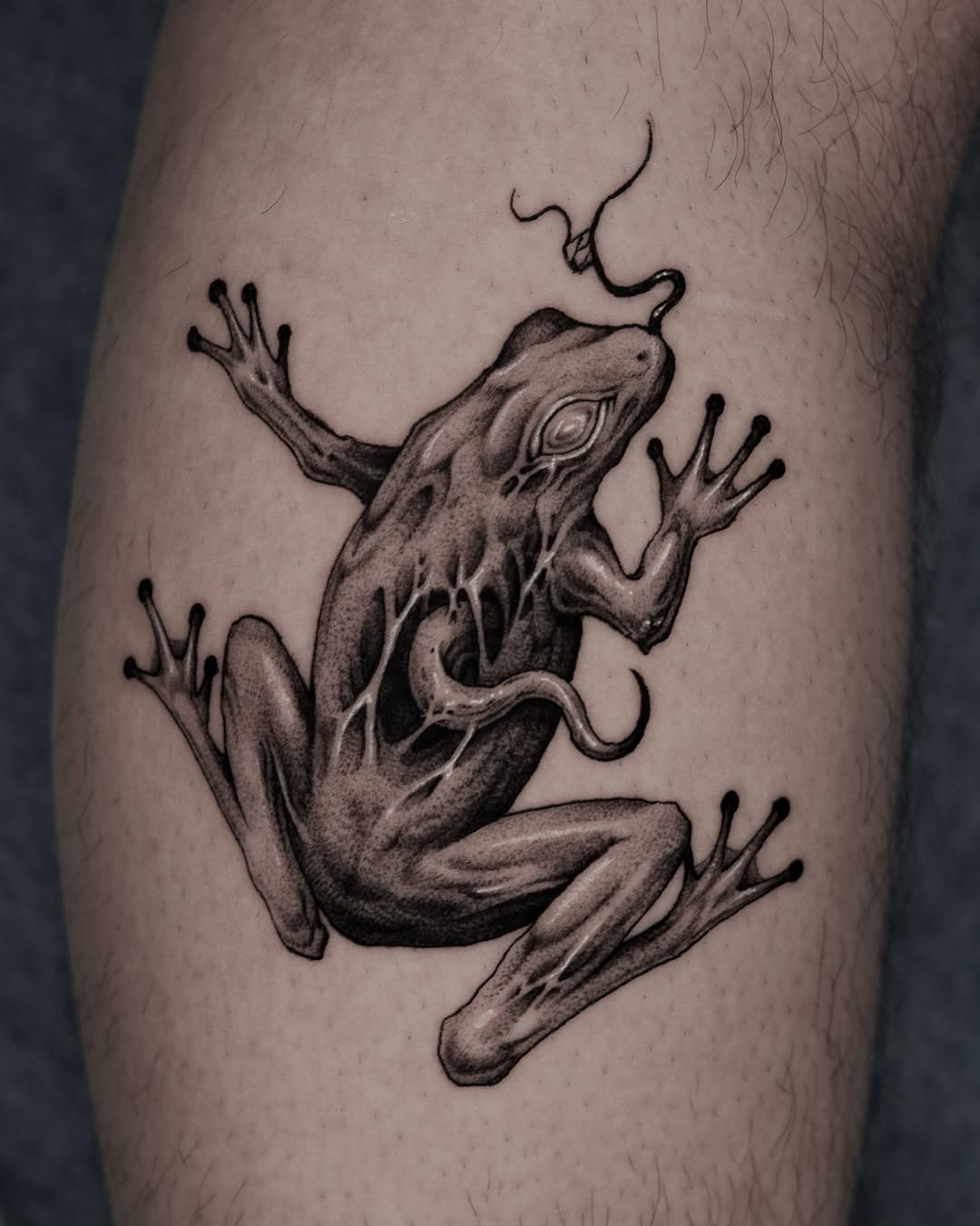 Intricate black and gray frog tattoo design
