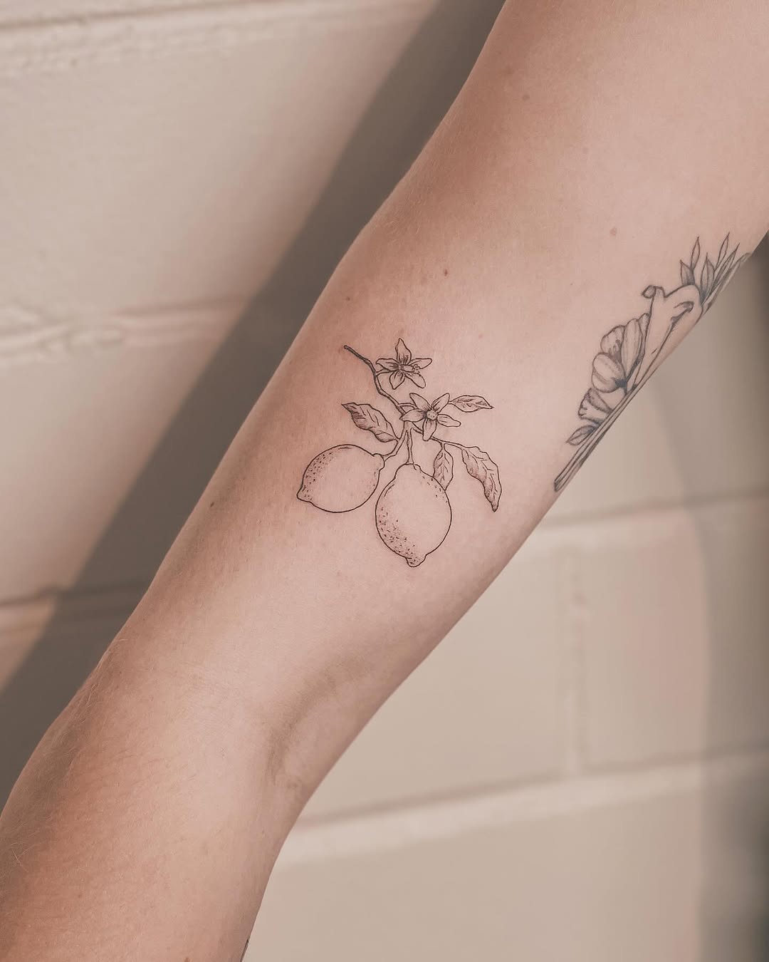 Charming minimalist lemon tattoo design on arm