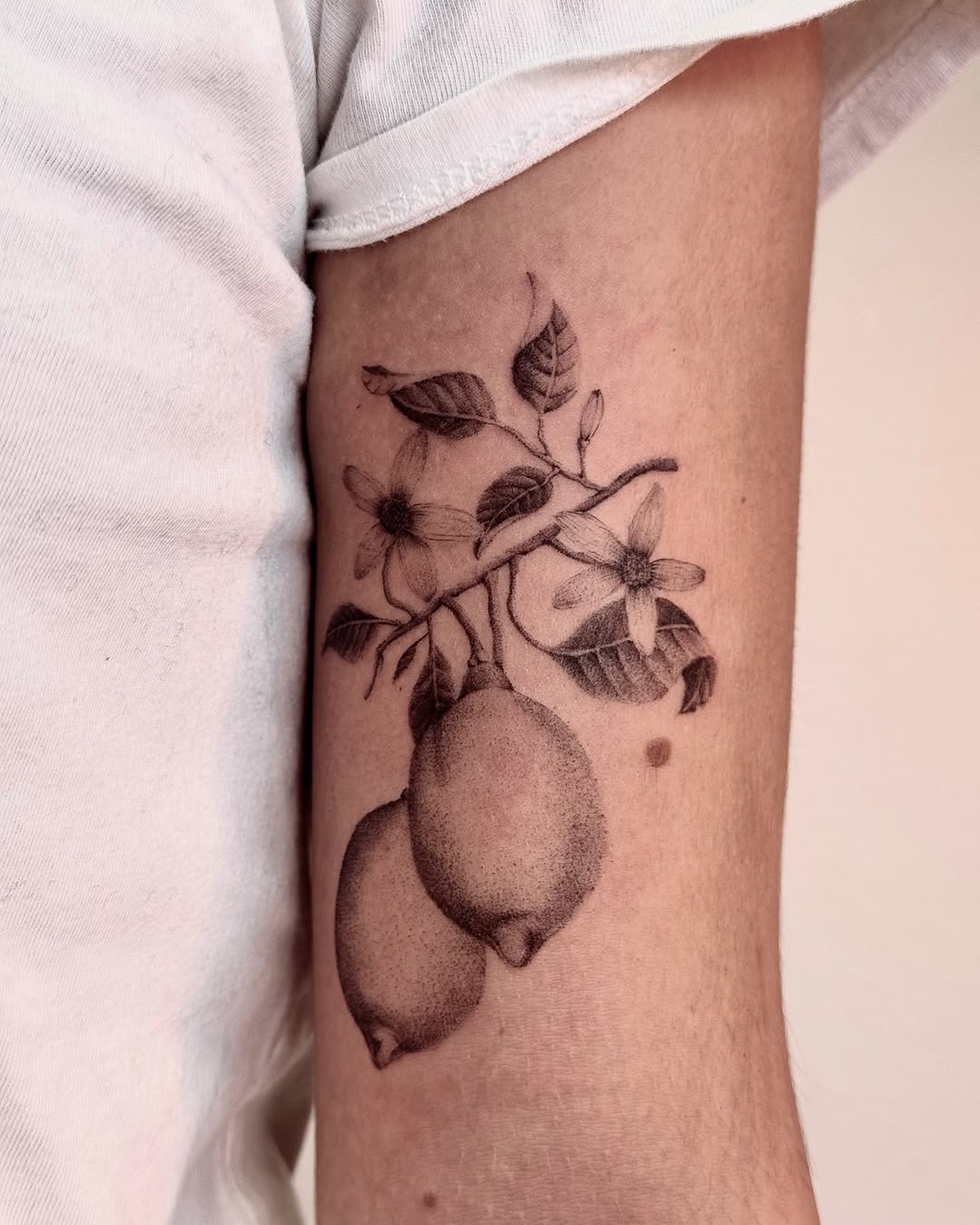 Elegant black and gray lemon tattoo design