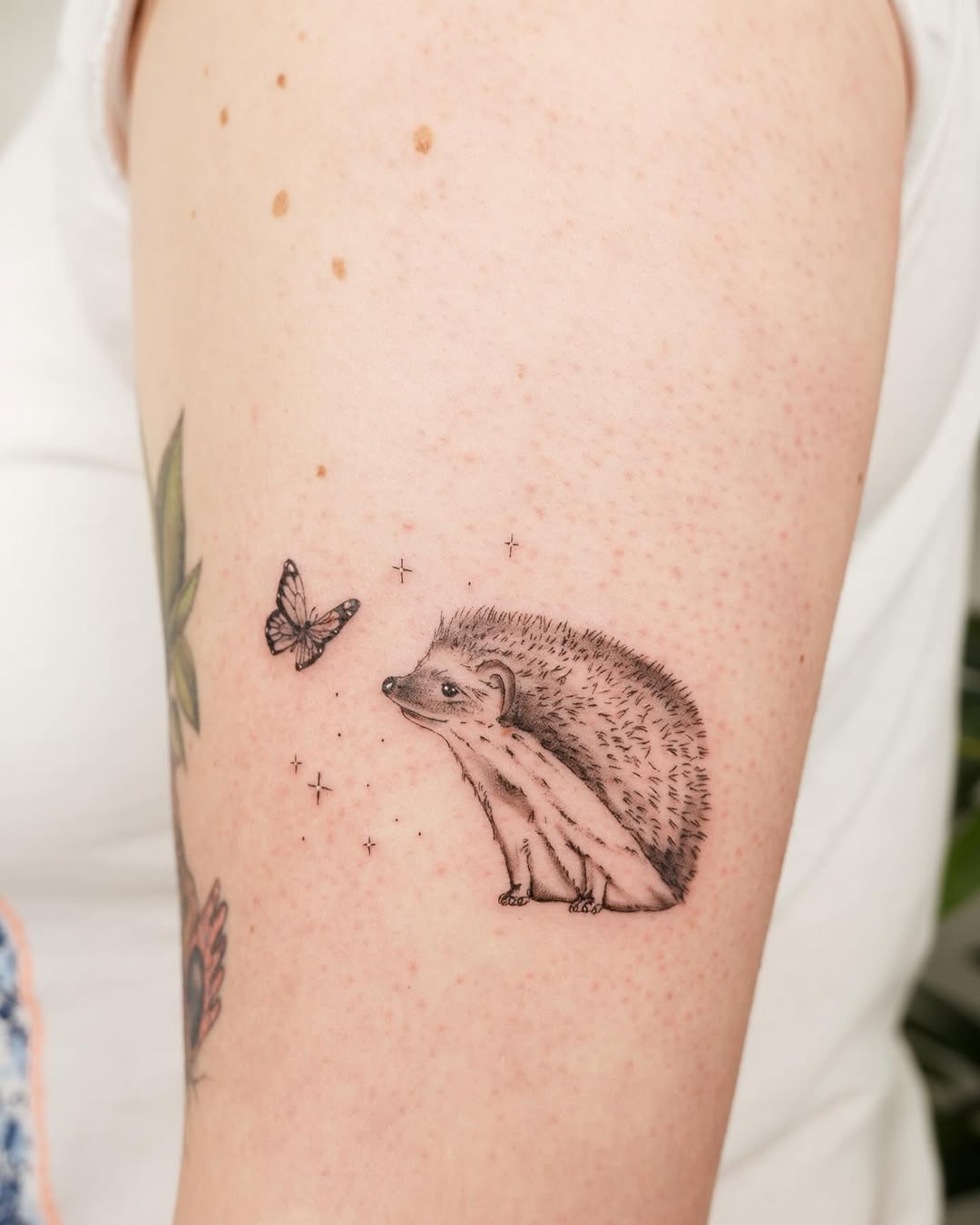Charming hedgehog with butterfly companion tattoo