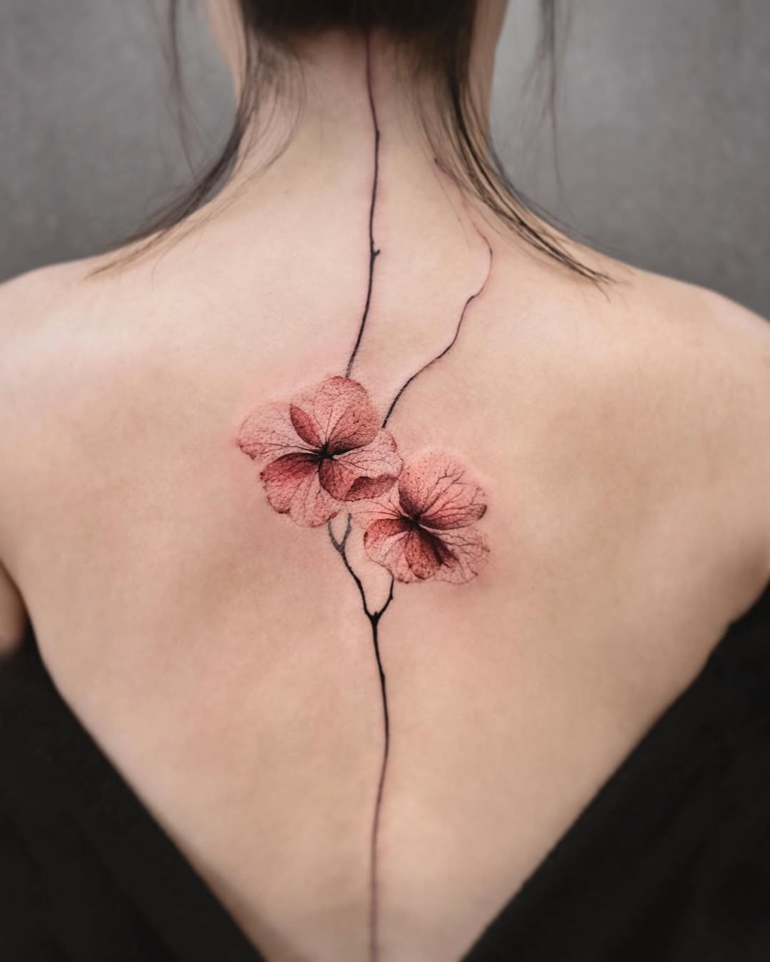 Delicate pink blossoms along the spine