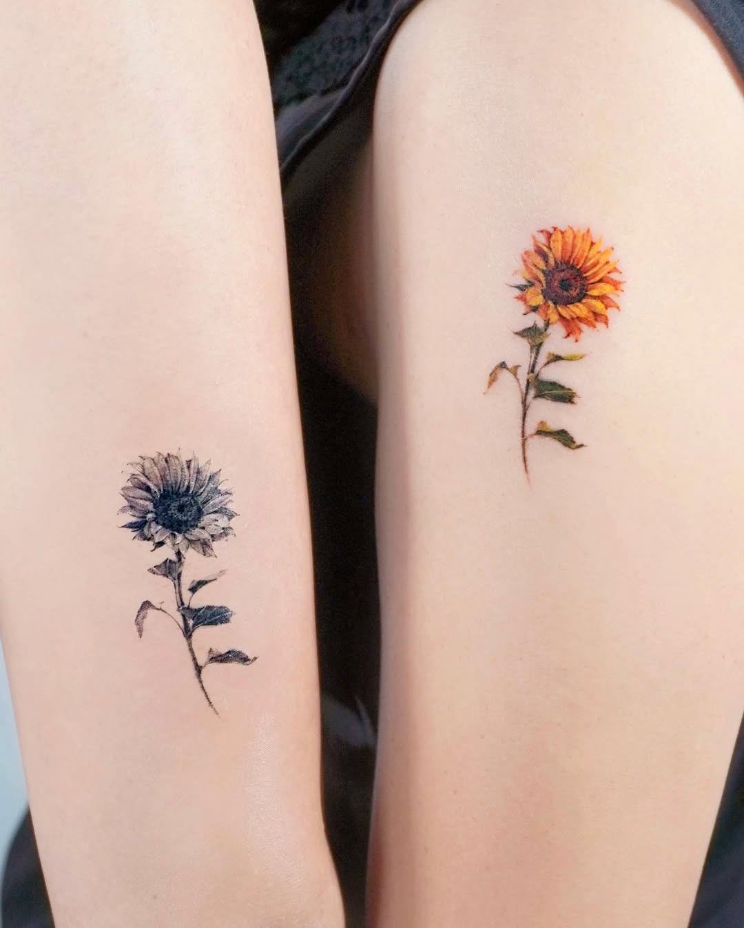 Stunning sunflowers symbolizing friendship and growth