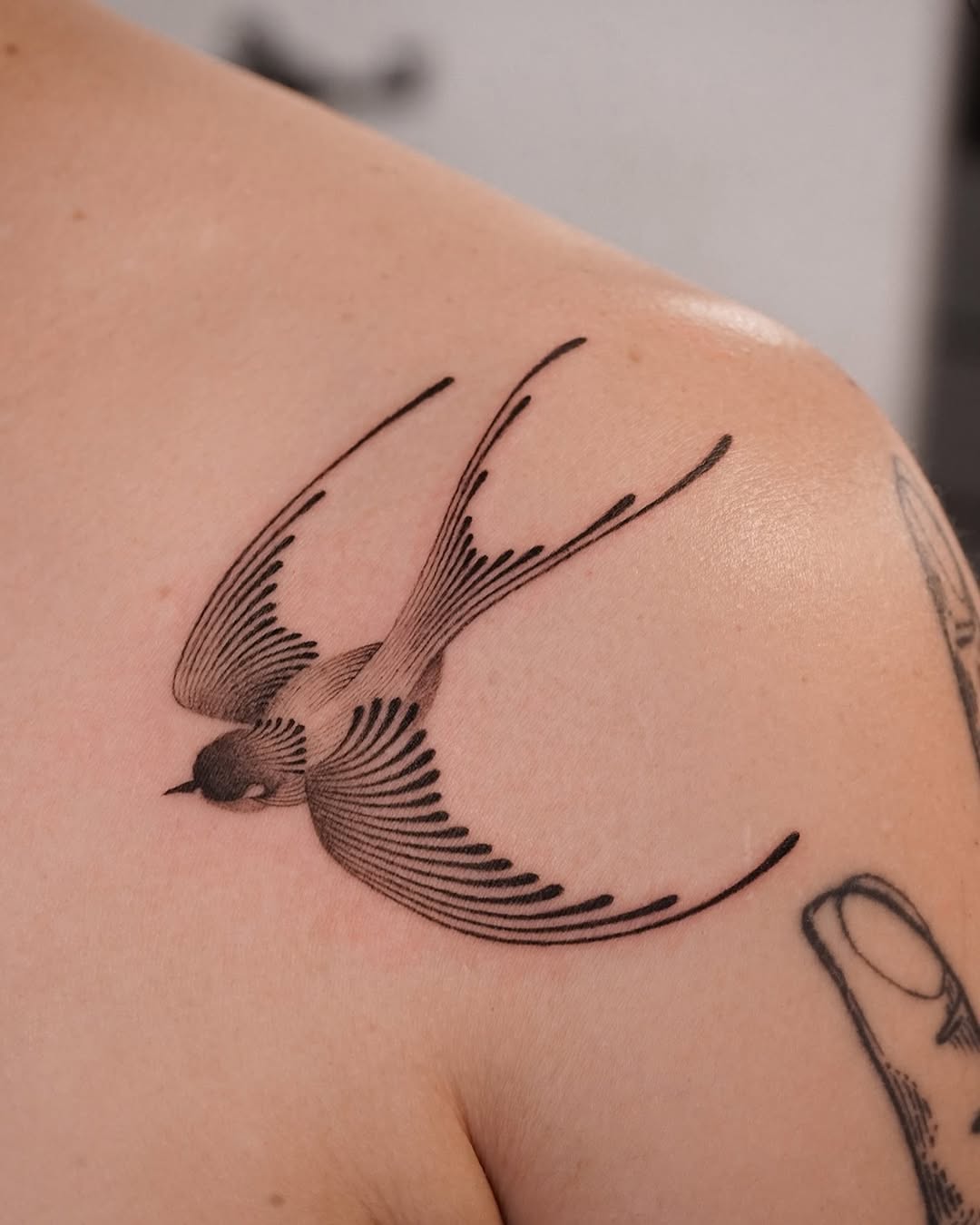 Elegant swallow tattoo design on shoulder