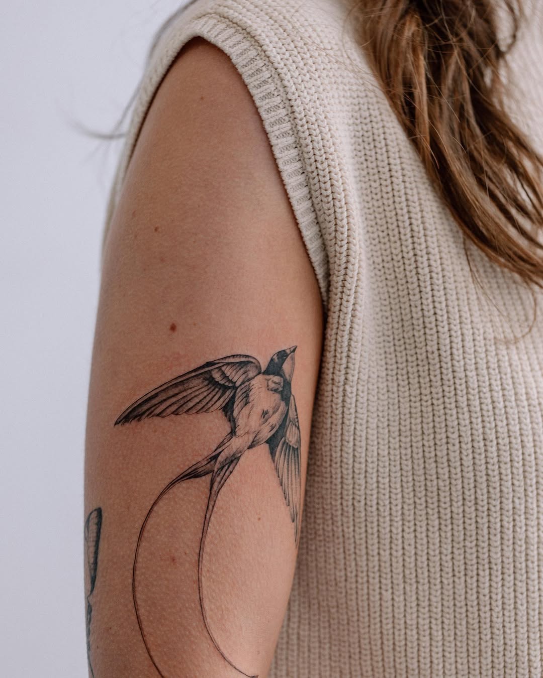 Elegant swallow tattoo with flowing lines