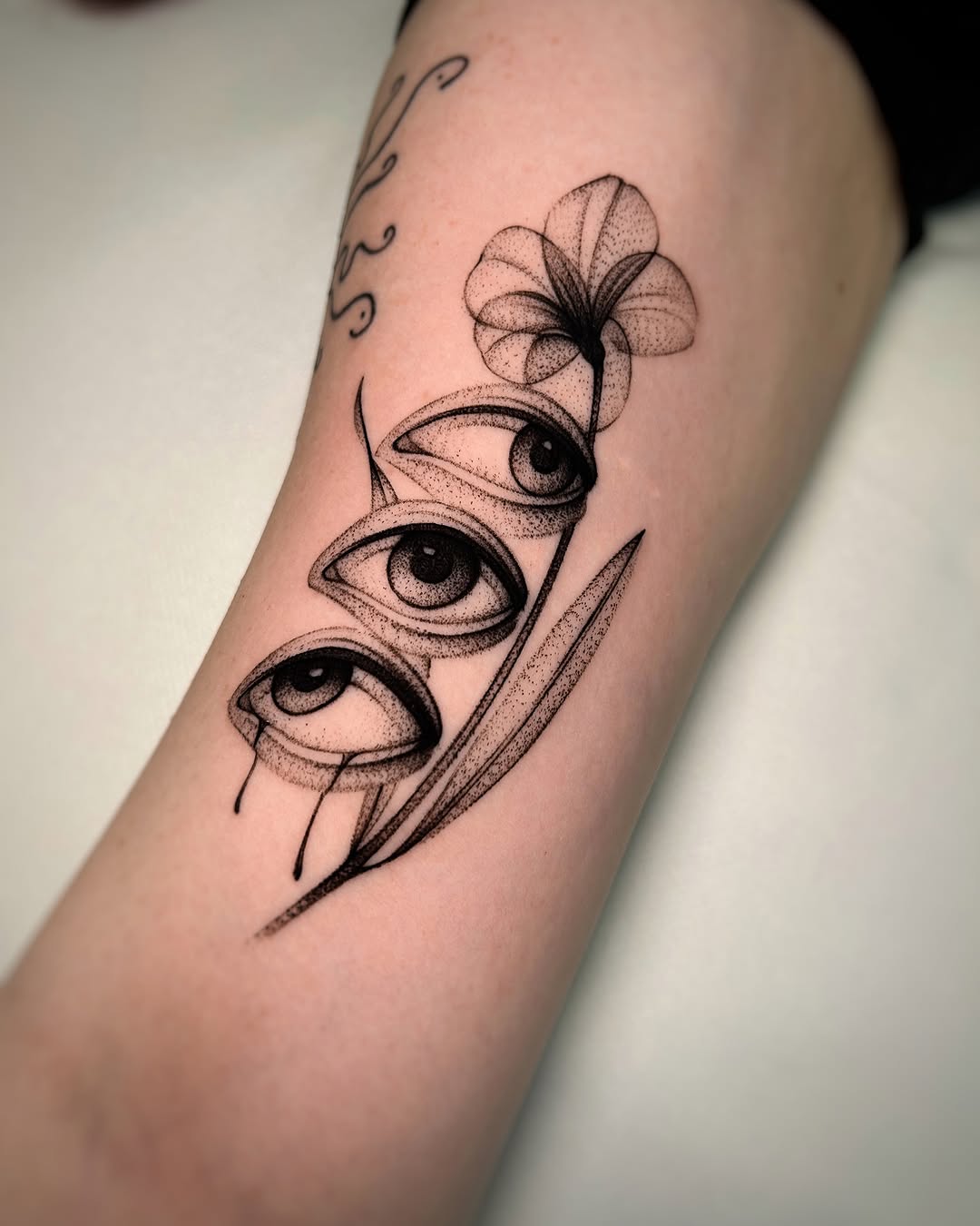 A striking blend of nature and vision.