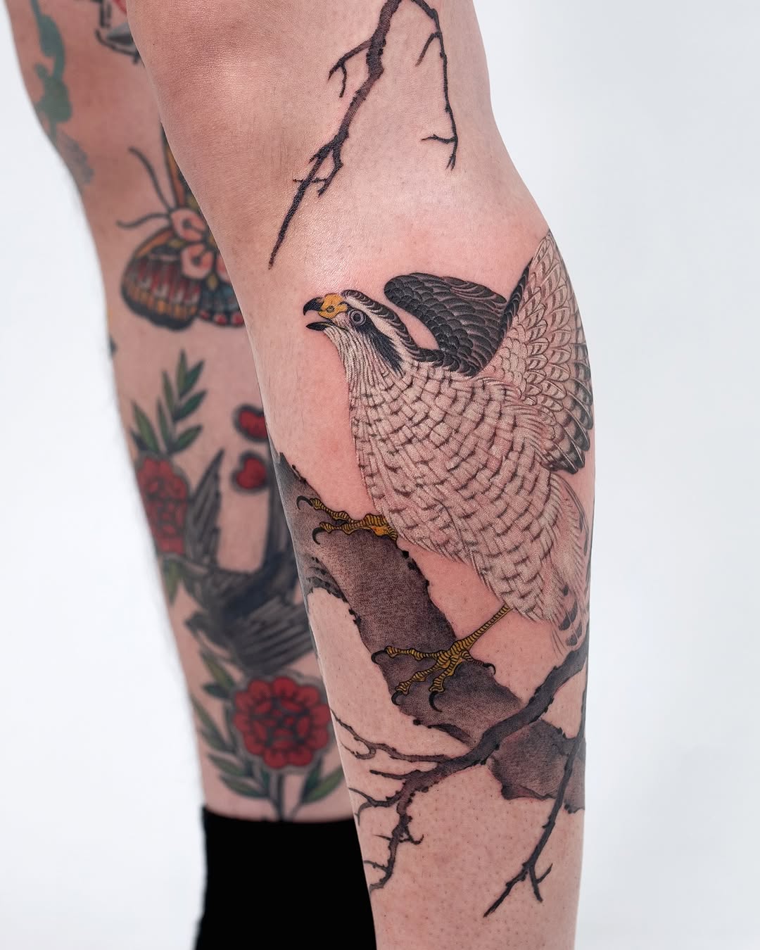 Intricate hawk tattoo perched on a branch