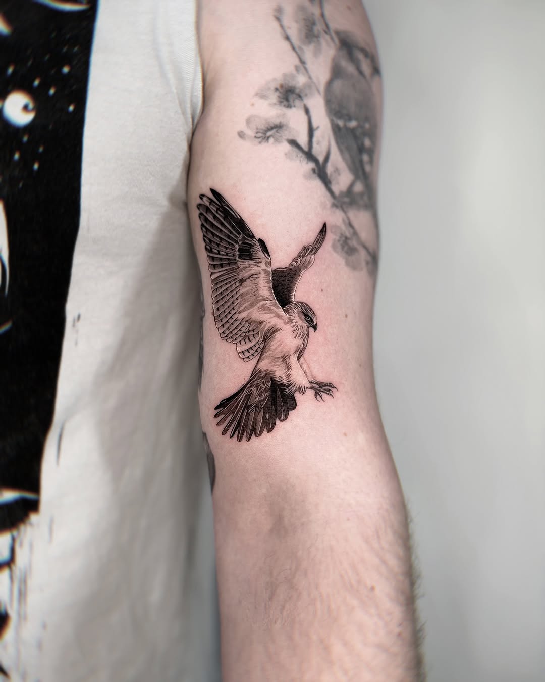Stylish Hawk Tattoo on the Arm
