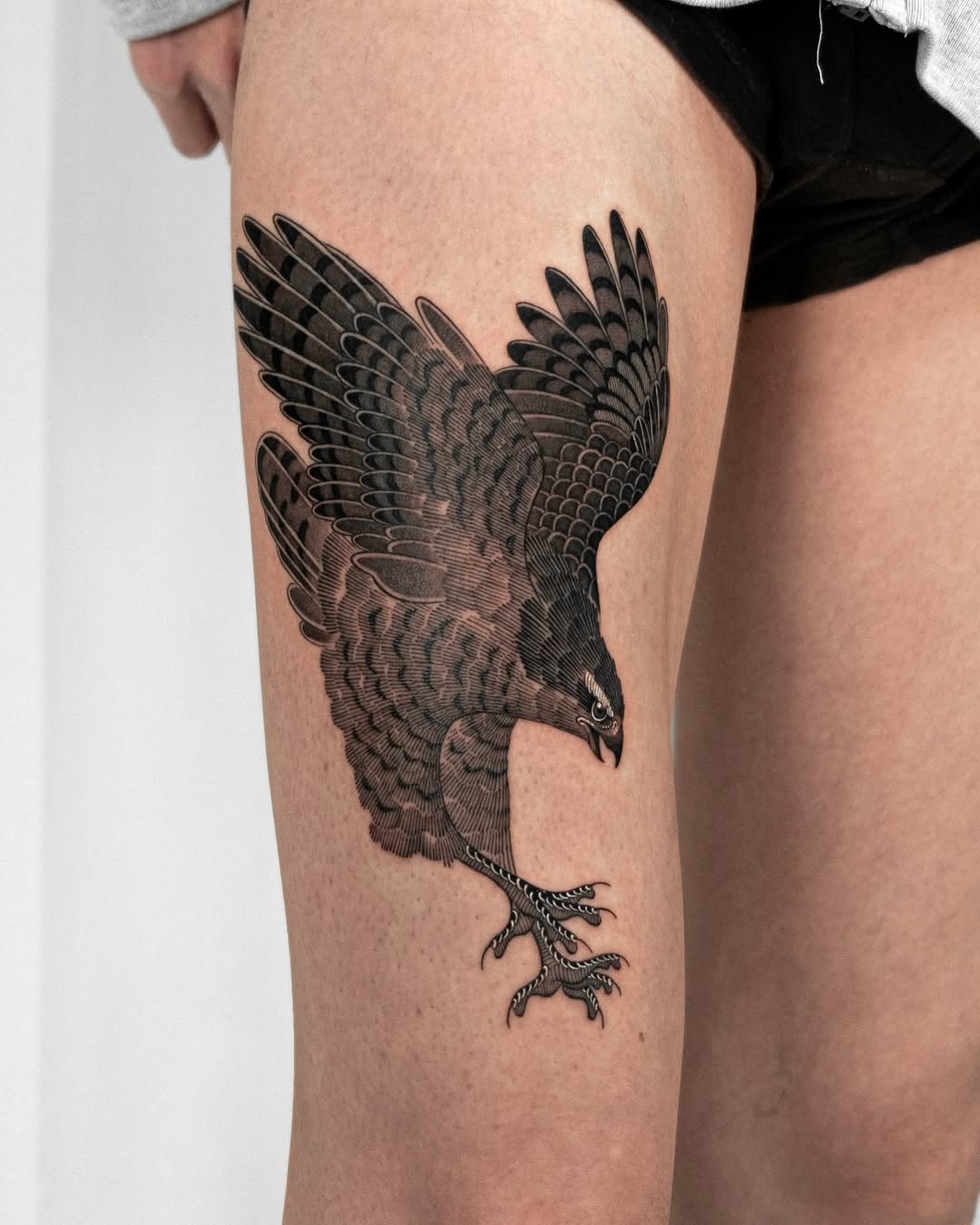 Intricate hawk tattoo capturing fierce energy